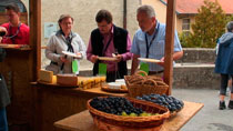 Balade Gourmande à Romont